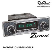 RetroSound RS-BFPKT-BPSI - Frontblende mit Bedienknöpfen RetroSound RS-BFPKT-BPSI - Frontblende mit Bedienknöpfen