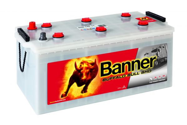 018725110101-Buffalo-Bull-SHD-725-11-Klassische-Ansicht.jpg
