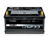 Pa_LION100_01.jpg Pa_LION100_01.jpg