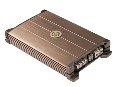 DLS Performance CA-P10 - 1-channel monoblock amplifier