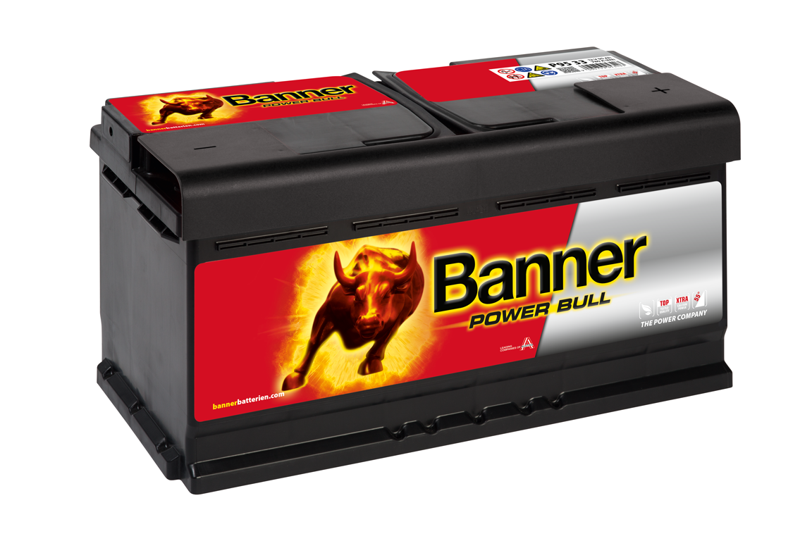 Banner Power Bull Professional 12V 100Ah P10040